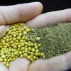 fertilizers