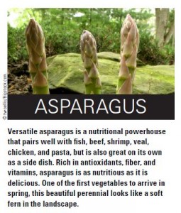 Cover photo for Asparagus - Grow It, Eat It!