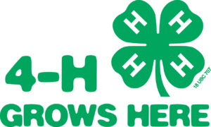 Cover photo for NC 4-H Hall of Fame Nominations