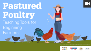 Pastured Poultry series featured graphic