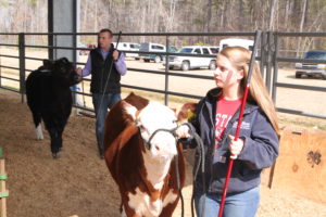 Cover photo for NC Livestock School & East Coast Extravaganza