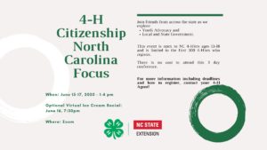 Cover photo for Citizenship North Carolina Focus