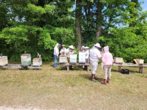 Beekeepers with a number of beehives on raised platforms.
